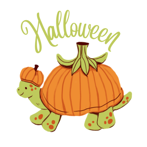 Hallo Turtle a new T-Shirt design cover image.