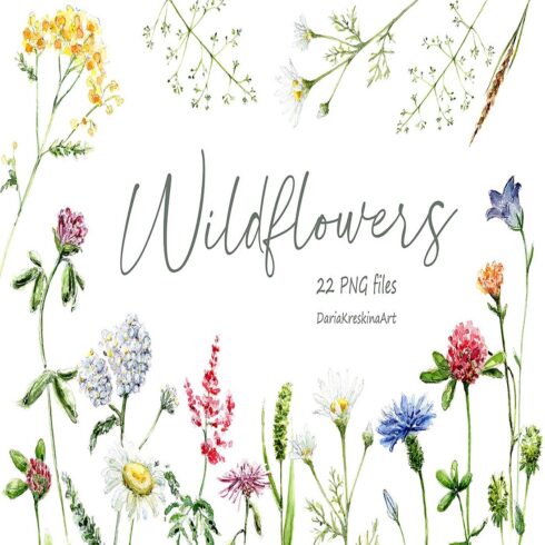 Wildflower clipart watercolor, Meadow Bouquet and Wreath PNG cover image.