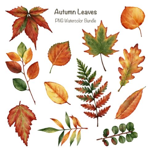 Watercolor Autumn Leaves PNG Bundle cover image.