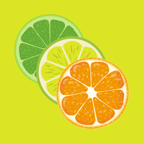Citrus Fruits a new T-Shirt design cover image.
