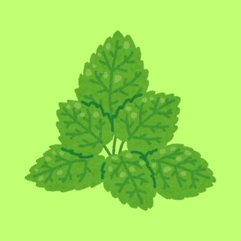 Leaf Graphic a new T-Shirt design cover image.