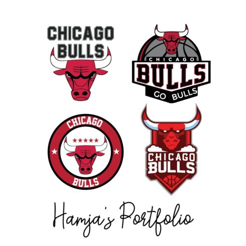 Chicago Bulls Bundle SVG, Chicago Bulls SVG cover image.