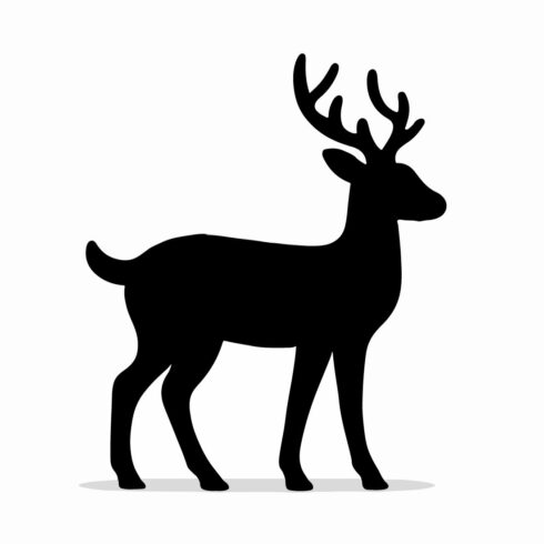 Wild animal vector illustration, modern design, realistic style, nature, wildlife, creative art, colorful, isolated element cover image.