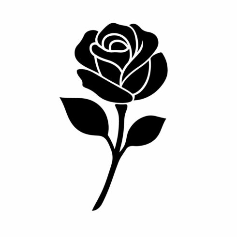 Beautiful colorful rose flower vector illustration, elegant floral design, romantic blooming art, modern flat style cover image.