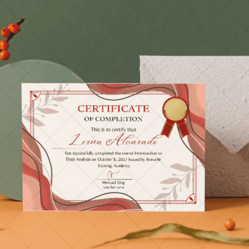 Certificate of Professional Development (for corporate/skill-building programs) cover image.