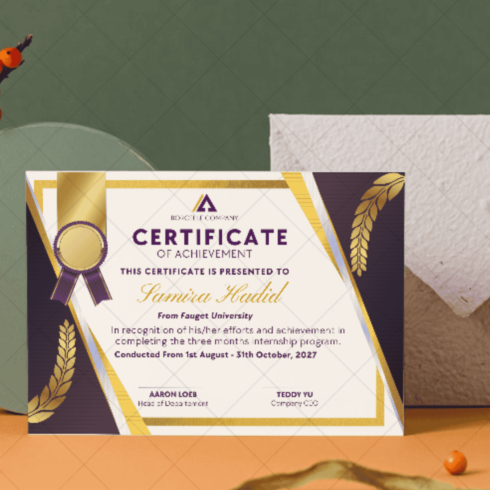 Certificate of Excellence in Internship (if performance is highlighted) cover image.