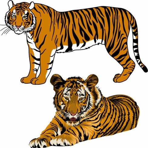 tigers cover image.