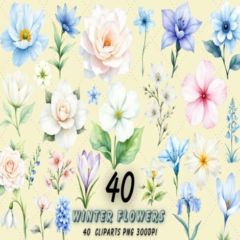 Winter Flowers Watercolor Clipart Bundle | Icy White & Blue cover image.