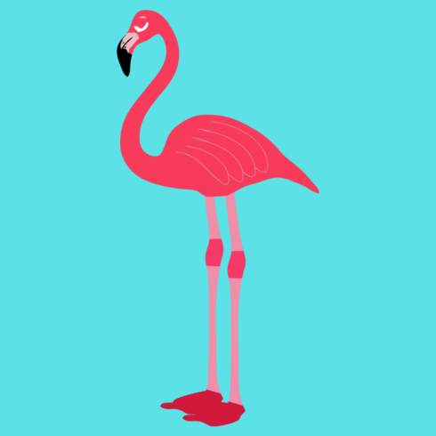 Flamingo a new T-Shirt design cover image.