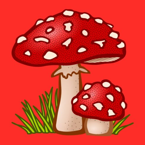 Mushroom a new T-Shirt design cover image.