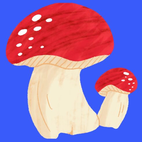 Mushroom 5 a new T-Shirt design cover image.