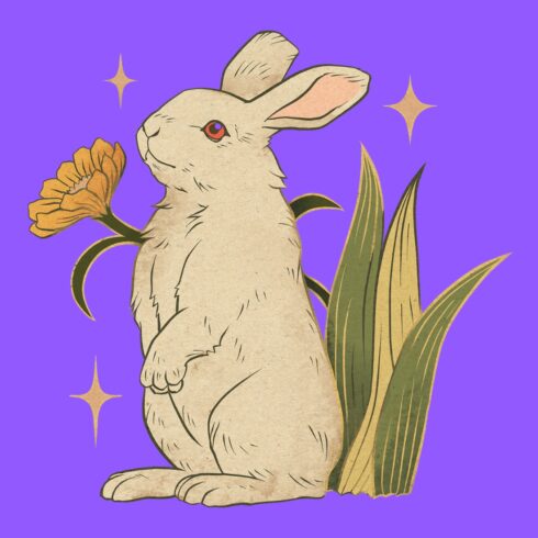 Rabbit 1 a new T-Shirt design cover image.
