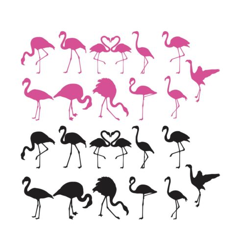 Flamingo SVG | Bird SVG | Flamingo SVG Bundle | Flamingo Cut File | Flamingo Clipart | Flamingo Silhouette | Bird Cut File | Bird Clipart cover image.