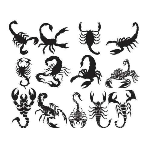 Scorpion SVG, Tribal Scorpion svg, Clipart, Vector Design cover image.