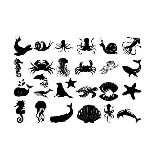 Sea Animals Svg, Beach Svg Bundle, Ocean Svg, Sea Life Bundle cover image.
