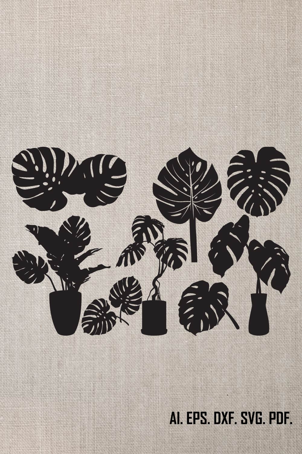 Monstera clipaaer silhouette vector Design  MasterBundles