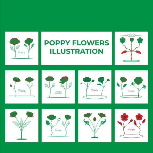 Stylized Poppy Flowers Illustration cover image.