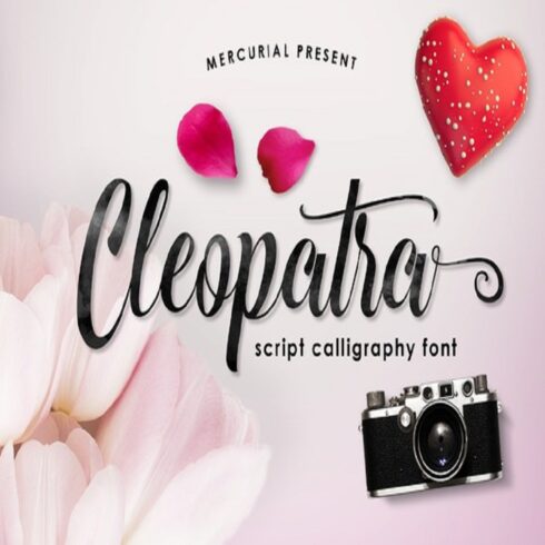 Mustard Font cover image.