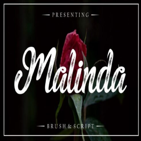 Malinda Font cover image.