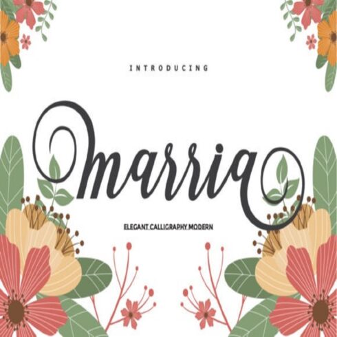 Marria Script Font cover image.