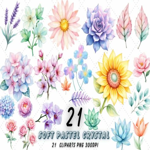 Soft Pastel Crystal Plants Watercolor Clipart | Magical Crystal Flowers & Leaves PNG | Hand-Painted Botanical Illustrations cover image.