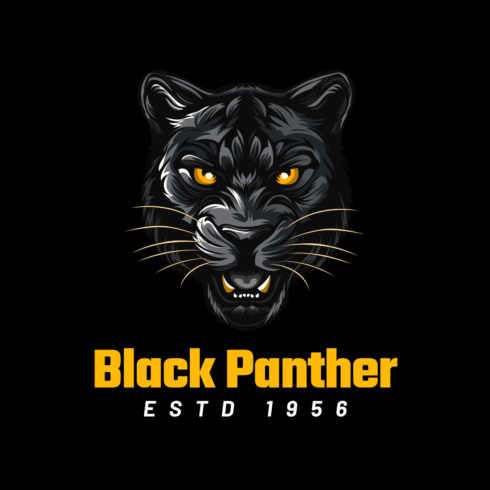 Black panter cover image.