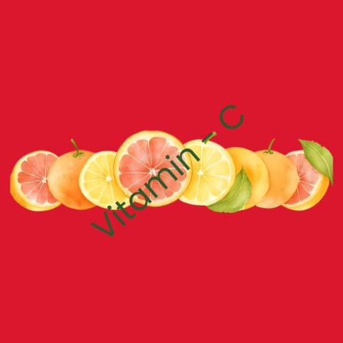 Citrus Fruits new T-Shirt design cover image.