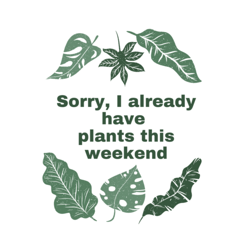 sorry t-shirt design cover image.