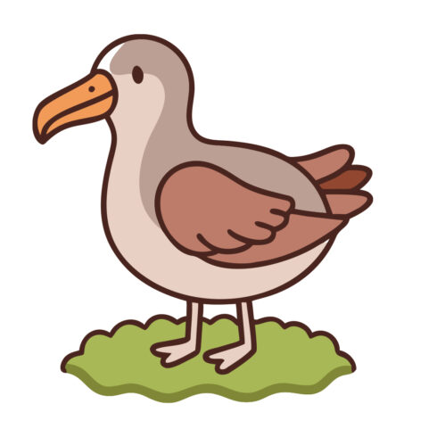 Cute Cartoon Albatross Standing on Grass Vector Illustration cover image.