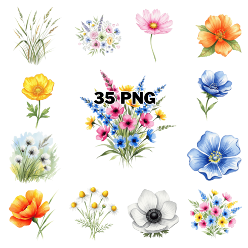 Watercolor Summer Wildflowers Botanical Sublimation Clipart Bundle cover image.