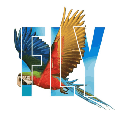 FLY Parrot – Tropical Wildlife Double Exposure Vector Graphic cover image.