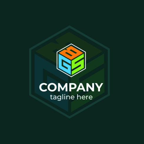 BGS Logo (Business Logo) cover image.