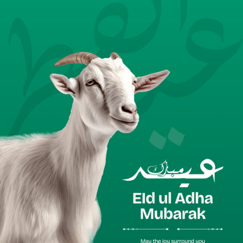 Eid Ul Adha T Shirt Design cover image.