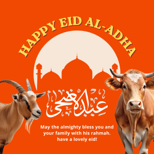Eid Ul Adha T Shirt Designs cover image.