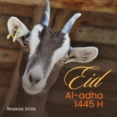 Eid-ul-Adha 2026 Celebration Concept with Cute Goat Portrait cover image.
