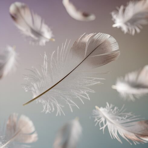 Imaginative Composition of Floating Feathers in Exquisite Detail cover image.