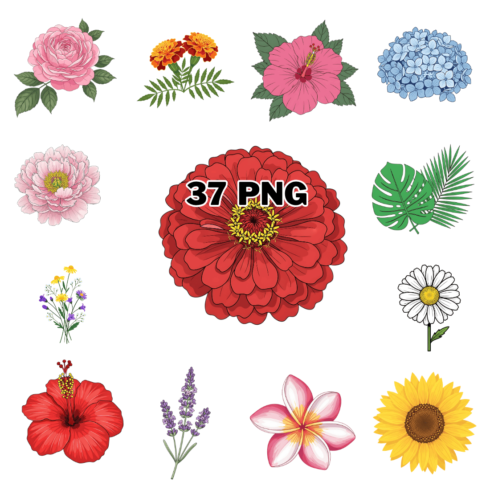 Tropical Summer Flowers Sublimation Clipart Bundle cover image.