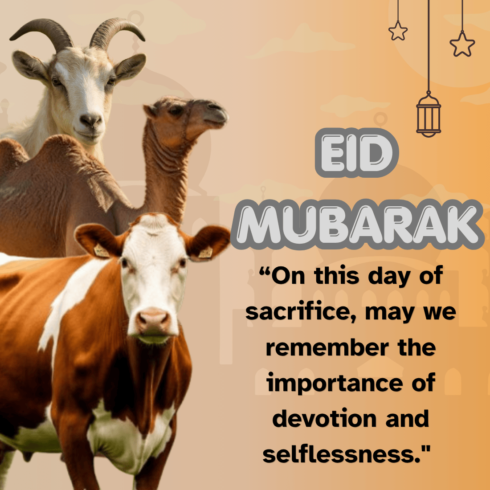 Eid-Ul-Adha T-Shirt Design cover image.