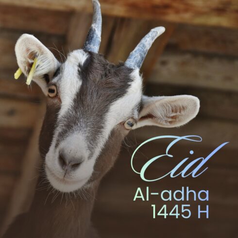 Eid ul Adha T-Shirt Design cover image.