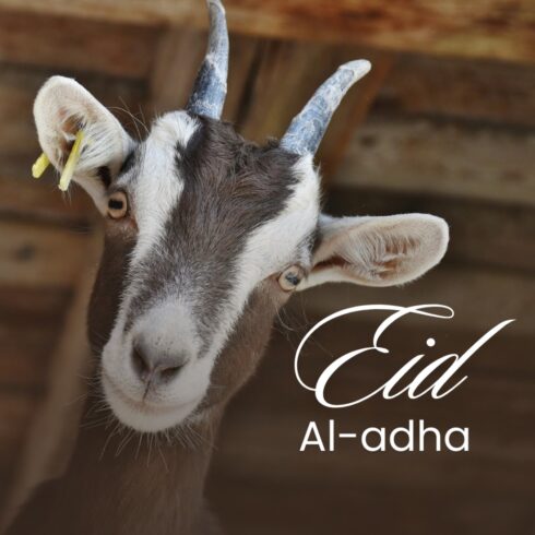 eid ul adha t shirt design cover image.