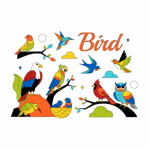 10 Colorful Tropical Bird Illustration cover image.