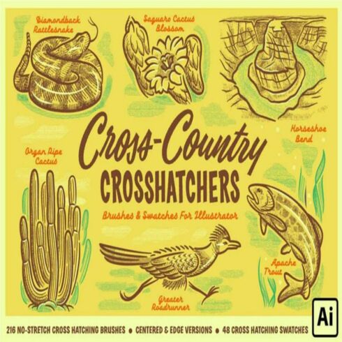 CROSS-COUNTRY CROSSHATCHERS BRUSH cover image.