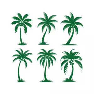 Tropical coconut palm trees collection set cover image.