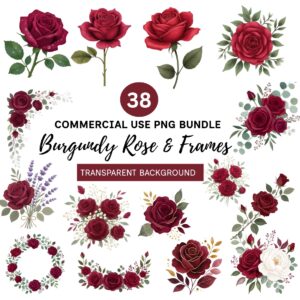 Burgundy Rose Clipart Bundle | 38 PNG Watercolor Red Rose & Floral Frame Graphics | Commercial Use | Transparent Background Wedding Flowers cover image.