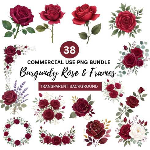 Burgundy Rose Clipart Bundle | 38 PNG Watercolor Red Rose & Floral Frame Graphics | Commercial Use | Transparent Background Wedding Flowers cover image.
