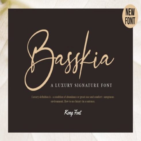 Basskia Font ā Modern & Playful Handwritten Script Typeface cover image.