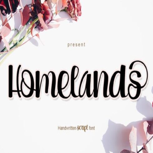 Homelands Calligraphy Font – Romantic Script Font with Swashes & Glyphs cover image.