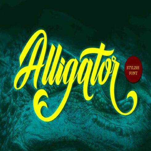 Alligator | Versatile Cursive Font with Lowercase Alternates for Children & Branding cover image.