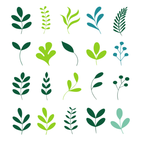 Minimalist Botanical Leaf and Sprig Icon Set cover image.