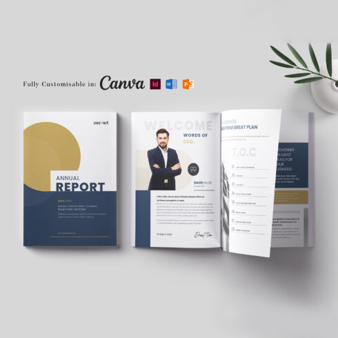 Annual Report Template: Project Report, Corporate Design, Business Brochure, Book Layout Template, Marketing Template, Project Presentation cover image.